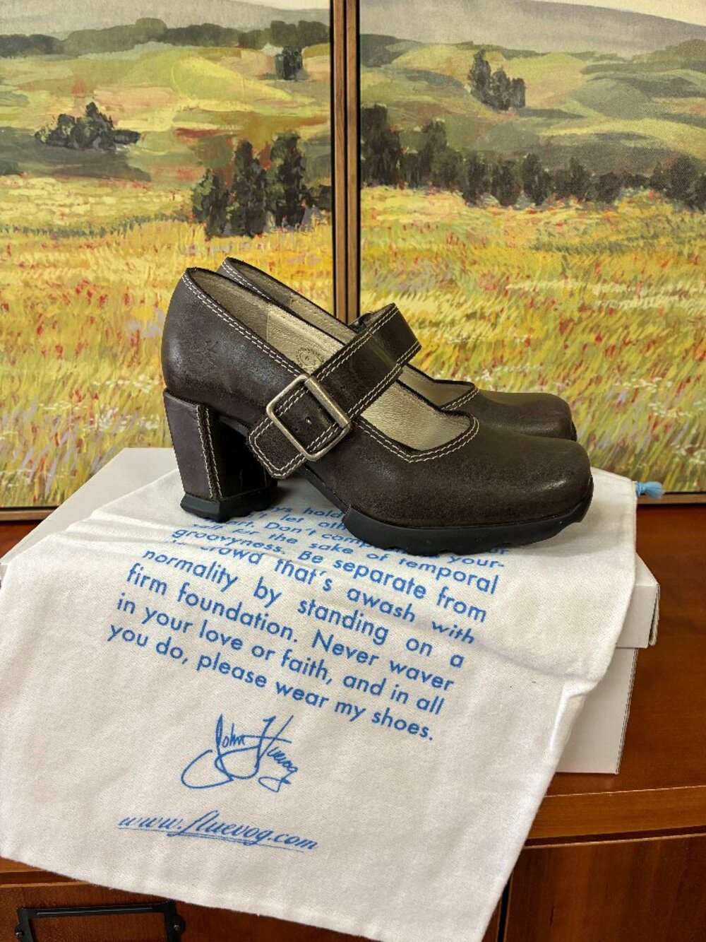 Fluevog 6.5 Mary Janes - Picture 2 of 7